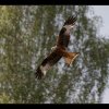 20150522_0031